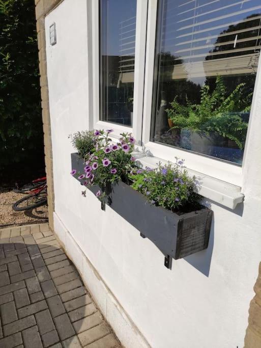 The Old Bar In Wiltshire - 1 Bedroom Guesthouse Чипенъм Екстериор снимка